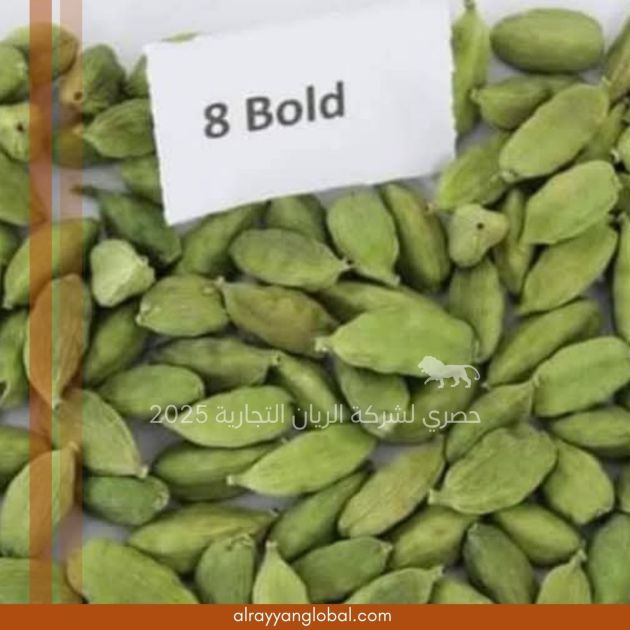 الهيل الأخضر الهندي الفاخر